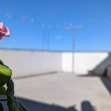 Hospedaje Arequipa Αγιακούτσο Εξωτερικό φωτογραφία